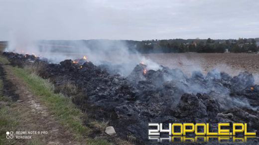 Strażacy całą noc gasili płonące bale słomy