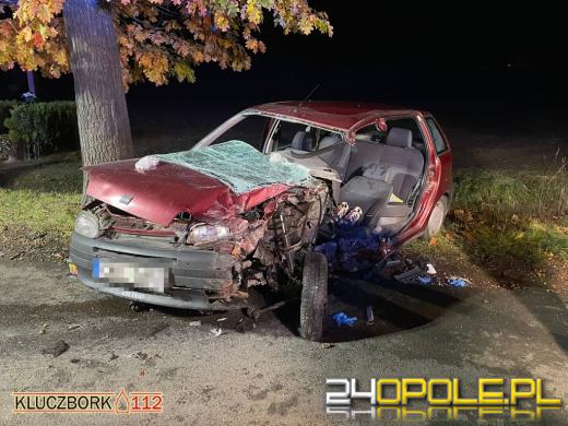 Kierujący punto uderzył w drzewo. Wypadek w gminie Wołczyn