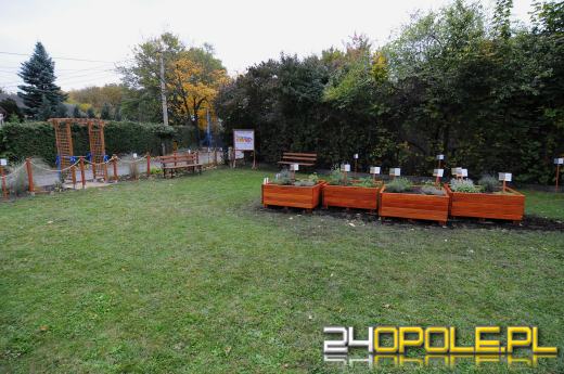 Podopieczni Fundacji DOM mają piękny ogród sensoryczny