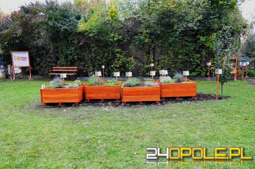 Podopieczni Fundacji DOM mają piękny ogród sensoryczny