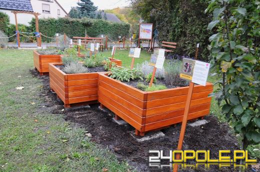 Podopieczni Fundacji DOM mają piękny ogród sensoryczny