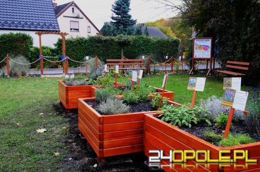 Podopieczni Fundacji DOM mają piękny ogród sensoryczny