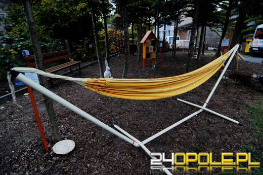 Podopieczni Fundacji DOM mają piękny ogród sensoryczny