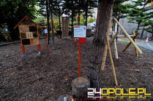 Podopieczni Fundacji DOM mają piękny ogród sensoryczny