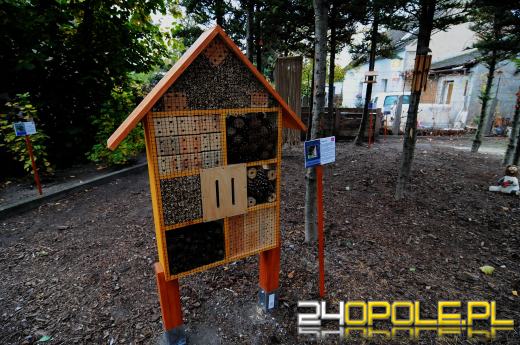 Podopieczni Fundacji DOM mają piękny ogród sensoryczny