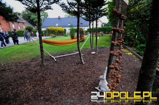 Podopieczni Fundacji DOM mają piękny ogród sensoryczny