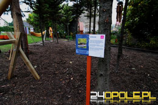 Podopieczni Fundacji DOM mają piękny ogród sensoryczny