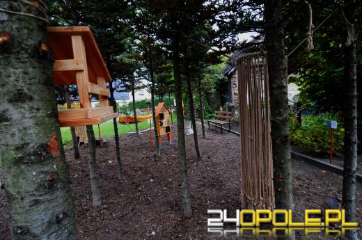 Podopieczni Fundacji DOM mają piękny ogród sensoryczny