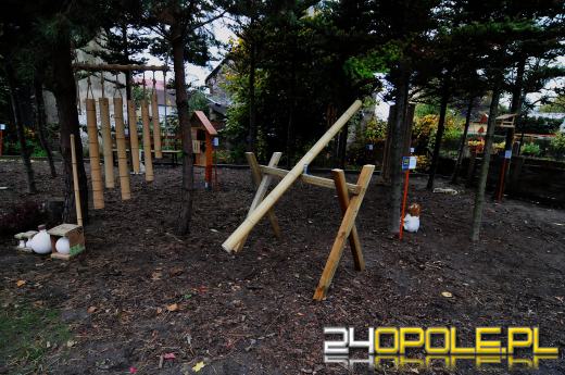 Podopieczni Fundacji DOM mają piękny ogród sensoryczny