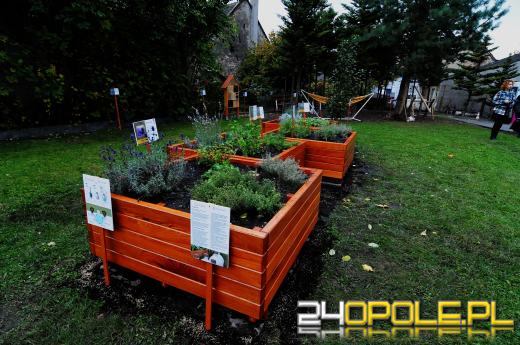 Podopieczni Fundacji DOM mają piękny ogród sensoryczny