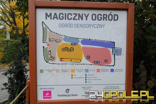Podopieczni Fundacji DOM mają piękny ogród sensoryczny