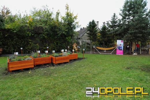 Podopieczni Fundacji DOM mają piękny ogród sensoryczny