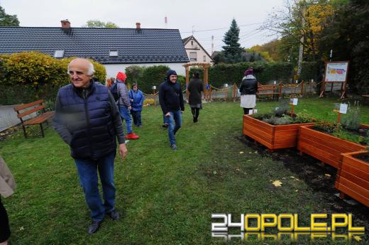 Podopieczni Fundacji DOM mają piękny ogród sensoryczny