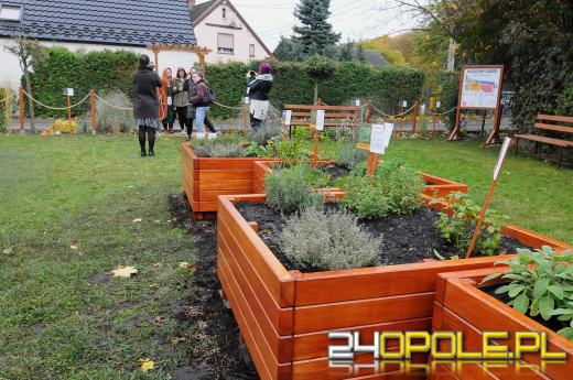 Podopieczni Fundacji DOM mają piękny ogród sensoryczny