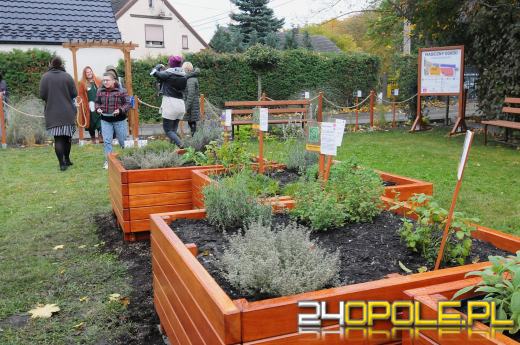 Podopieczni Fundacji DOM mają piękny ogród sensoryczny