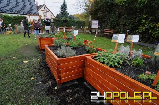 Podopieczni Fundacji DOM mają piękny ogród sensoryczny