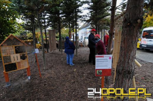 Podopieczni Fundacji DOM mają piękny ogród sensoryczny