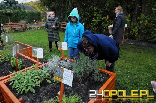 Podopieczni Fundacji DOM mają piękny ogród sensoryczny