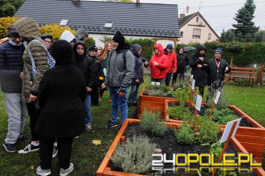 Podopieczni Fundacji DOM mają piękny ogród sensoryczny
