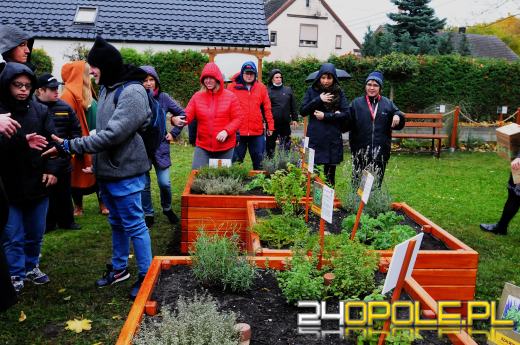 Podopieczni Fundacji DOM mają piękny ogród sensoryczny