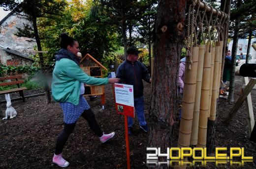 Podopieczni Fundacji DOM mają piękny ogród sensoryczny