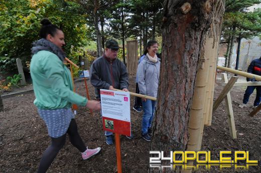 Podopieczni Fundacji DOM mają piękny ogród sensoryczny