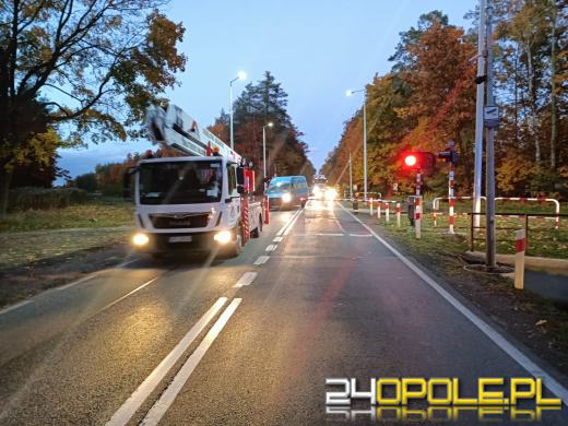 Strażacy odnotowali 323 zdarzenia związane z silnym wiatrem w województwie