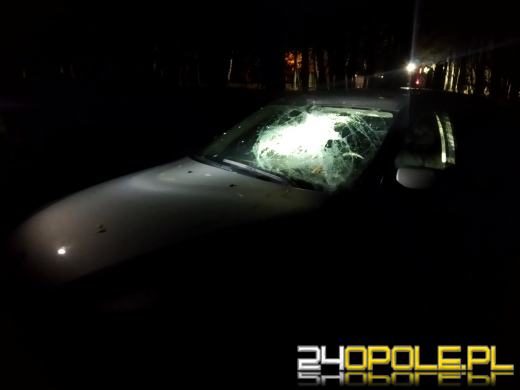 Strażacy odnotowali 323 zdarzenia związane z silnym wiatrem w województwie