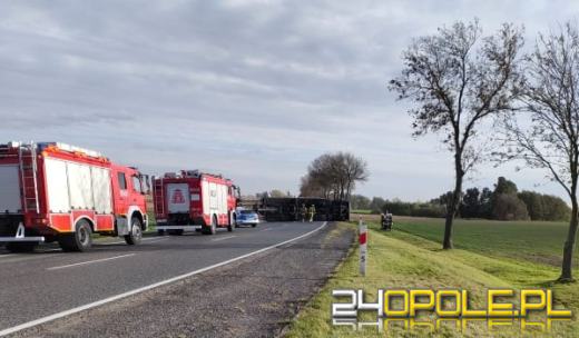Strażacy odnotowali 323 zdarzenia związane z silnym wiatrem w województwie
