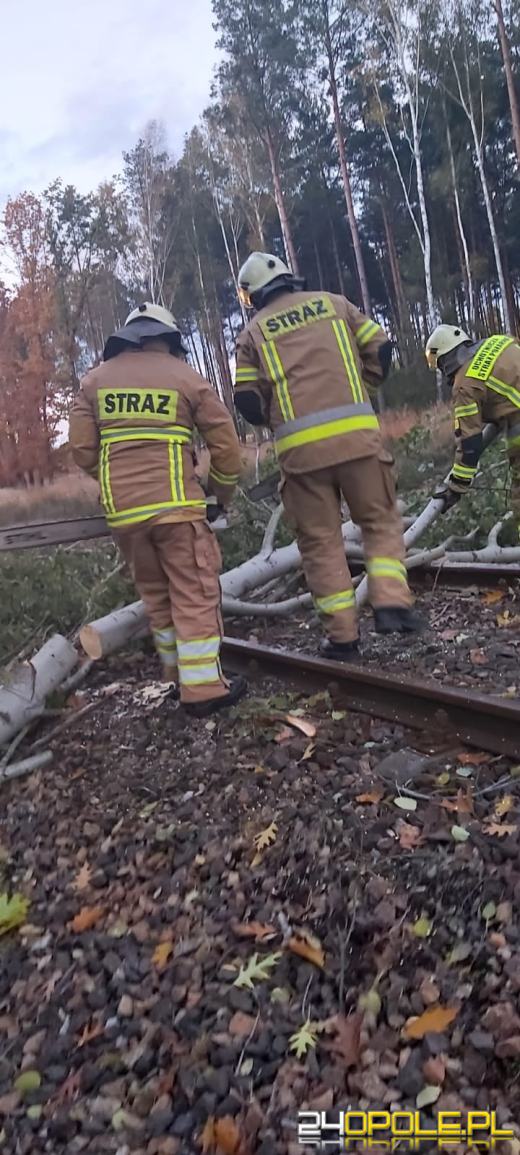 Strażacy odnotowali 323 zdarzenia związane z silnym wiatrem w województwie