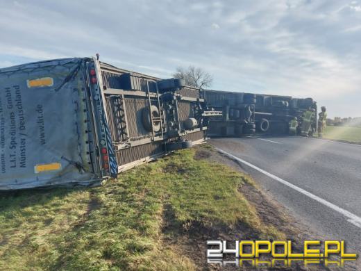 Strażacy odnotowali 323 zdarzenia związane z silnym wiatrem w województwie