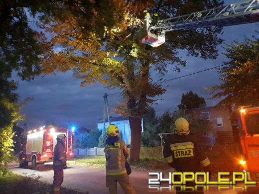 Strażacy odnotowali 323 zdarzenia związane z silnym wiatrem w województwie