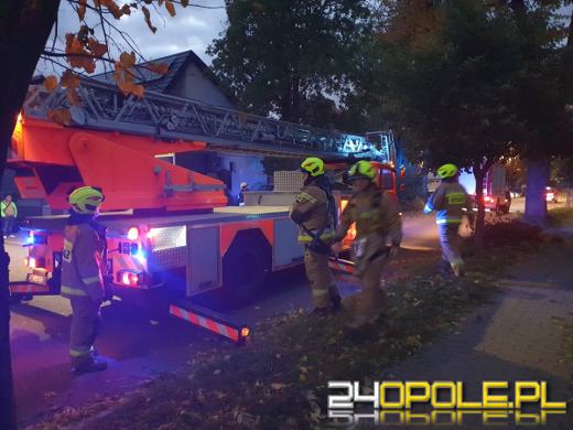 Strażacy odnotowali 323 zdarzenia związane z silnym wiatrem w województwie