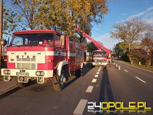 Strażacy odnotowali 323 zdarzenia związane z silnym wiatrem w województwie