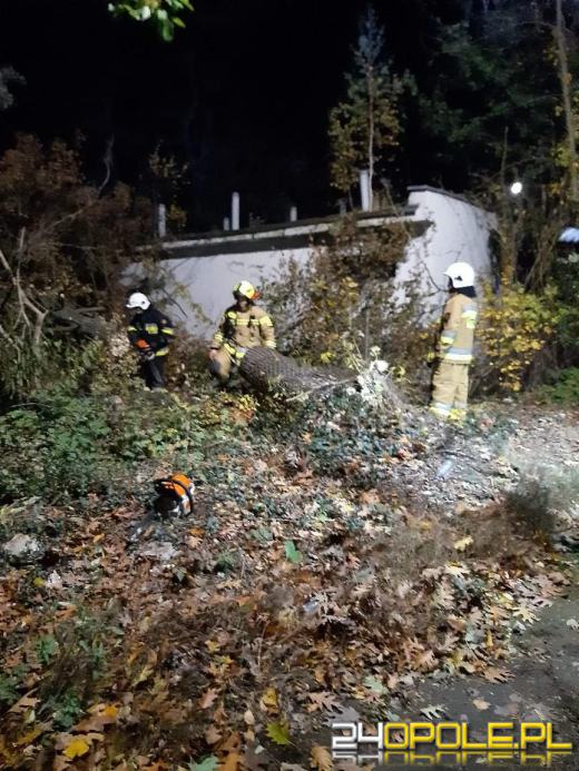 Strażacy odnotowali 323 zdarzenia związane z silnym wiatrem w województwie