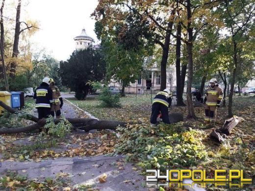 Strażacy odnotowali 323 zdarzenia związane z silnym wiatrem w województwie