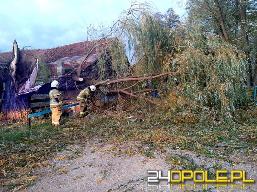 Strażacy odnotowali 323 zdarzenia związane z silnym wiatrem w województwie