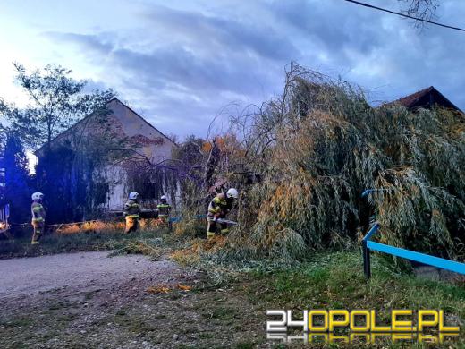 Strażacy odnotowali 323 zdarzenia związane z silnym wiatrem w województwie