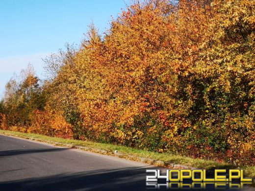 Piękną mamy jesień...tej jesieni!