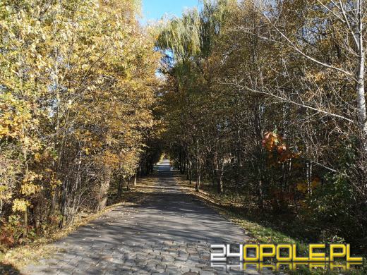 Piękną mamy jesień...tej jesieni!