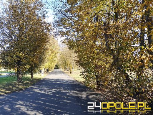 Piękną mamy jesień...tej jesieni!