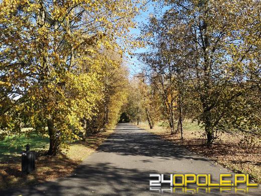 Piękną mamy jesień...tej jesieni!