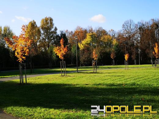 Piękną mamy jesień...tej jesieni!