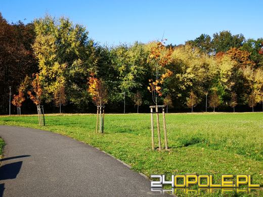 Piękną mamy jesień...tej jesieni!