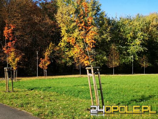 Piękną mamy jesień...tej jesieni!