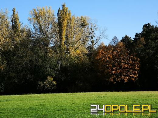 Piękną mamy jesień...tej jesieni!