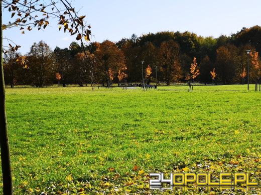 Piękną mamy jesień...tej jesieni!