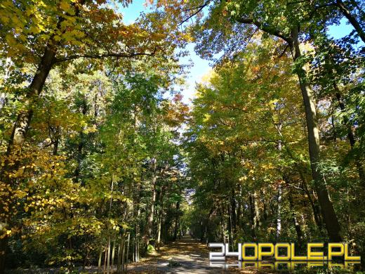 Piękną mamy jesień...tej jesieni!