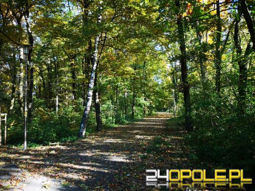 Piękną mamy jesień...tej jesieni!