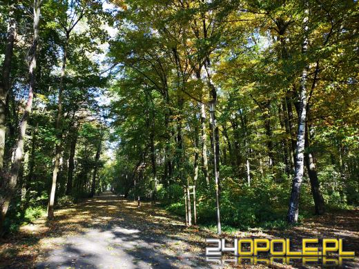 Piękną mamy jesień...tej jesieni!